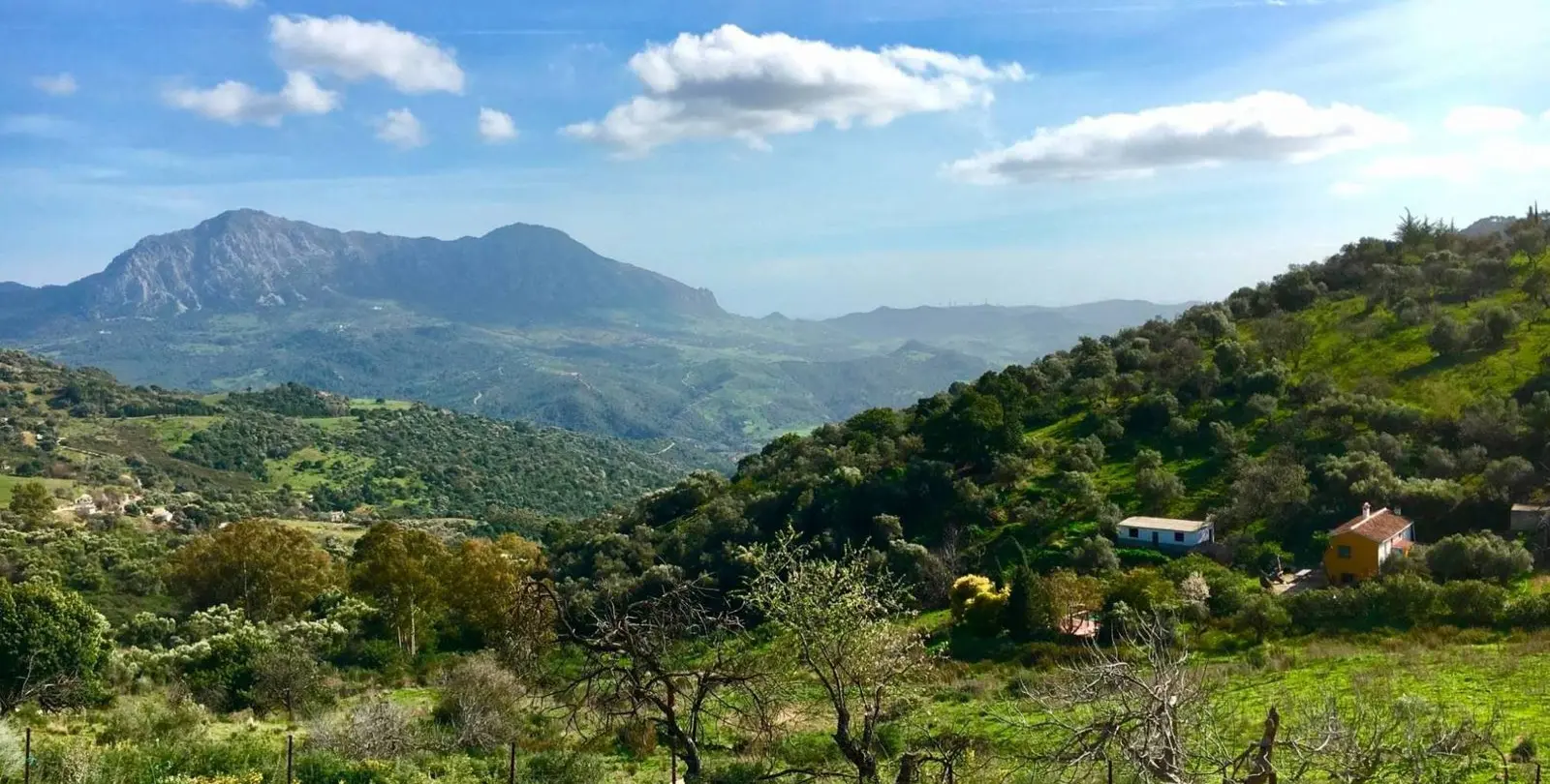 Venta de finca - cortijo en Gaucín 39
