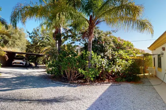 Image 4 thumb