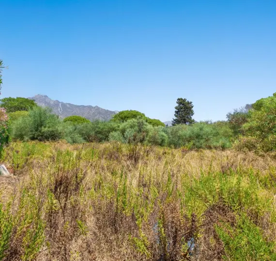 Продажа  жилого участка в Marbella