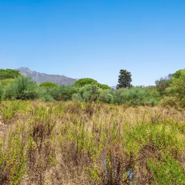 Sale of residential plot in Marbella