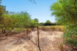 Image 5 thumb