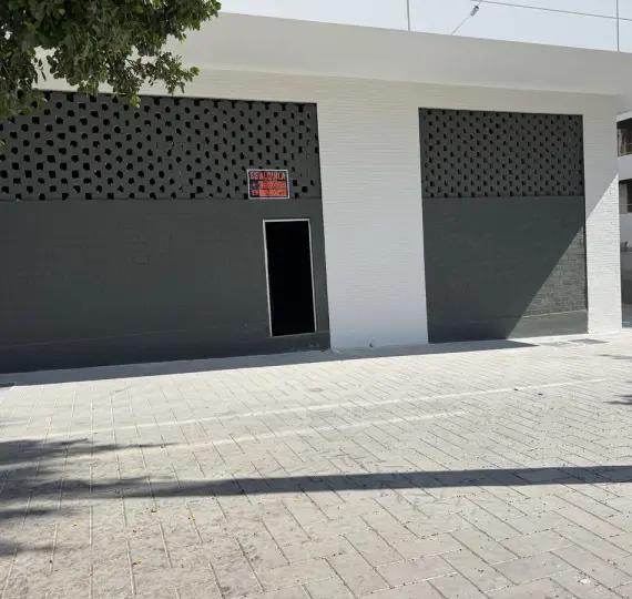 Long-term rent of commercial premises in La Campana