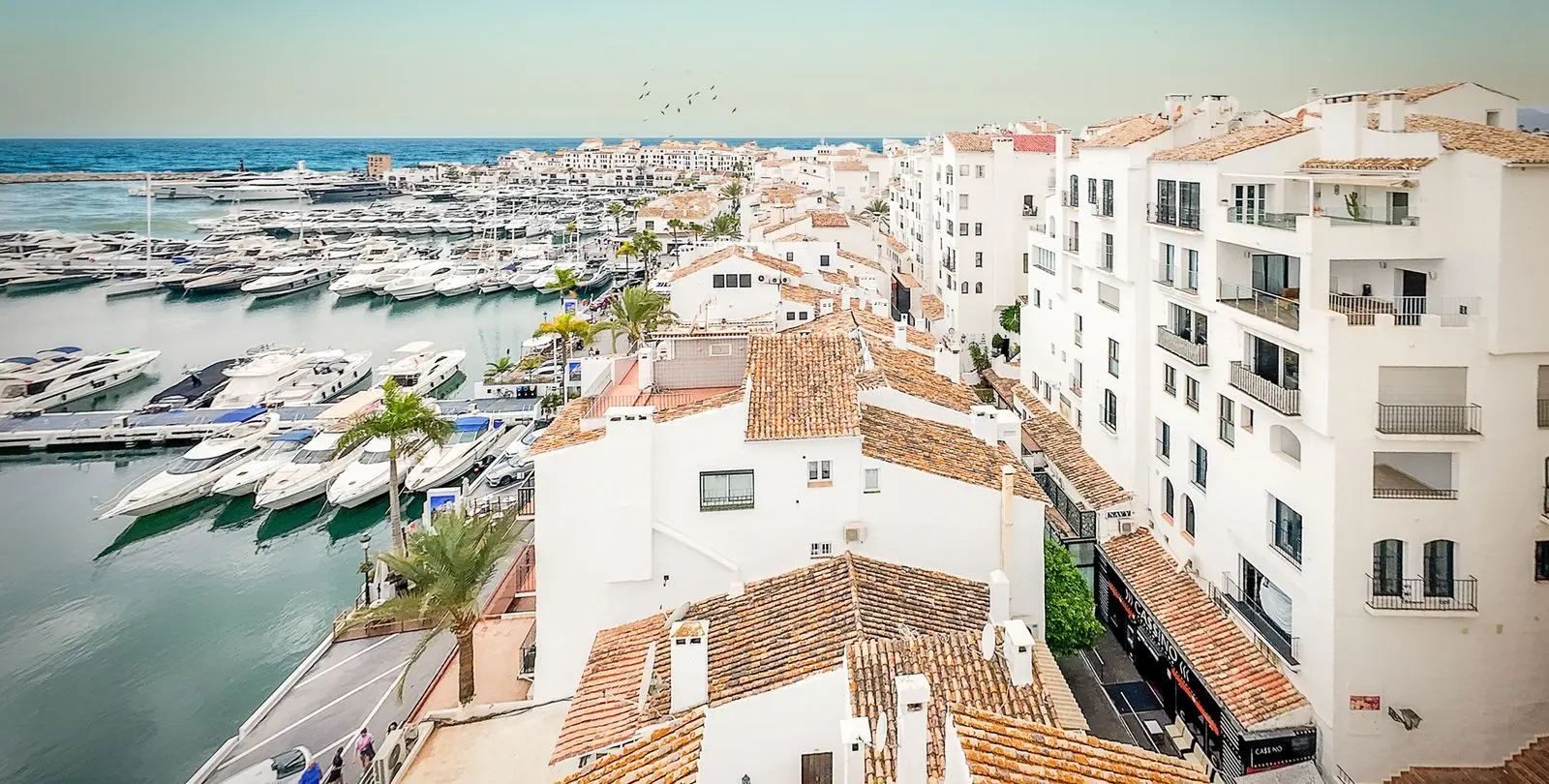 Sale of middle floor apartment in Puerto Banús 6