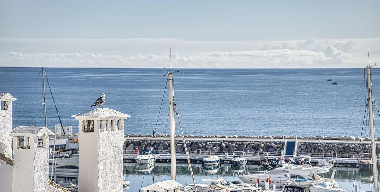 Sale of middle floor apartment in Puerto Banús 8