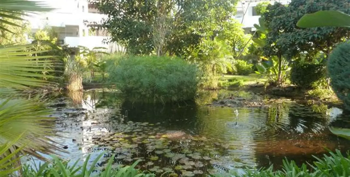 Продажа пентхауса в Guadalmina Baja 3