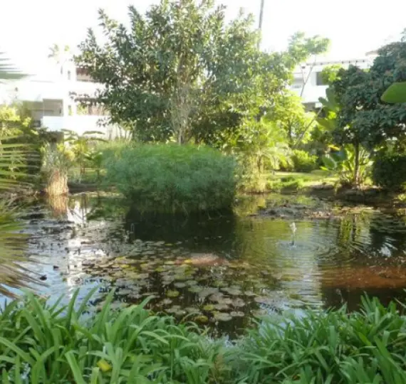 Venta de ático en Guadalmina Baja