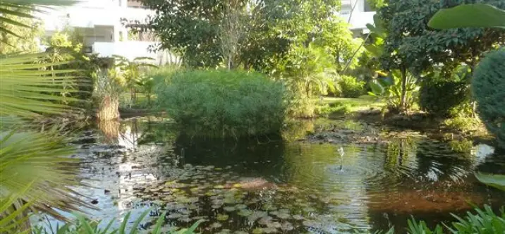 Venta de ático en Guadalmina Baja 2