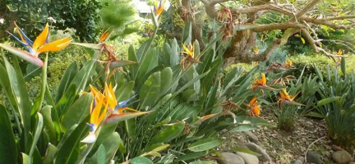 Venta de ático en Guadalmina Baja 4