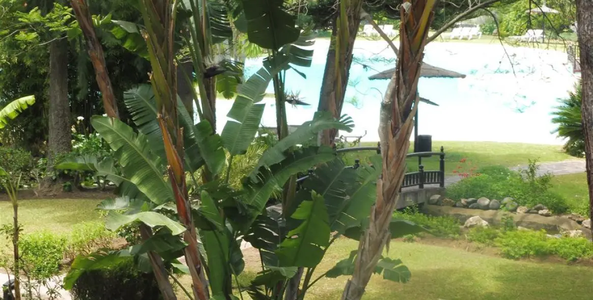 Продажа пентхауса в Guadalmina Baja 13