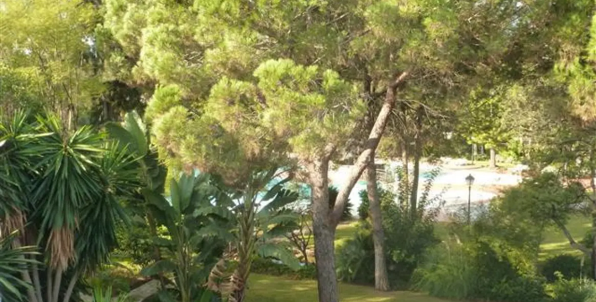 Продажа пентхауса в Guadalmina Baja 14