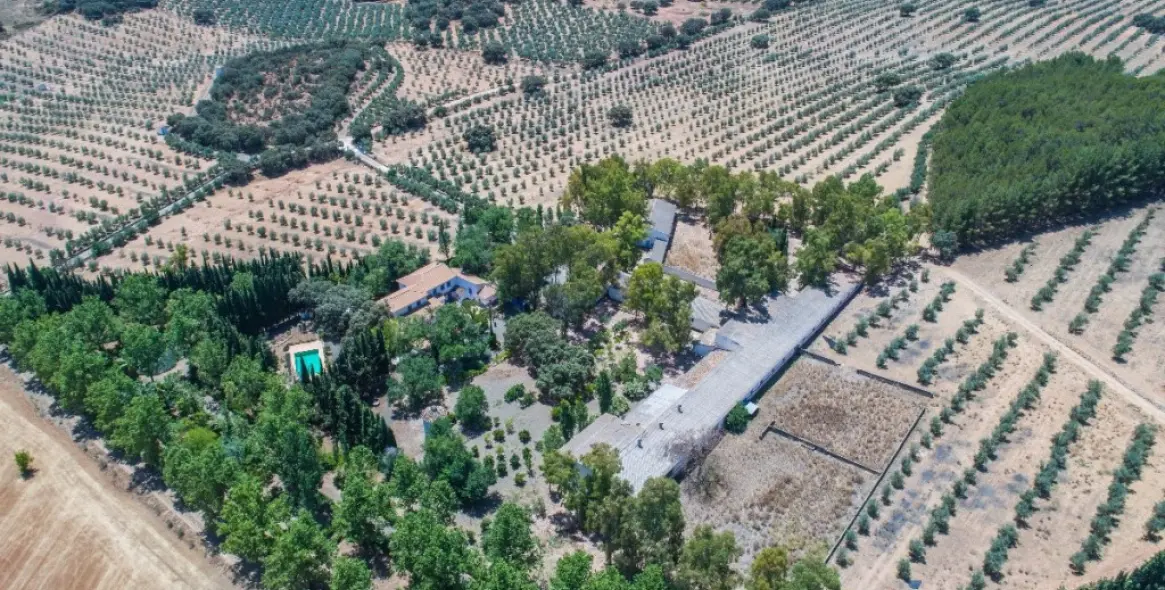 Venta de finca - cortijo en Archidona 1