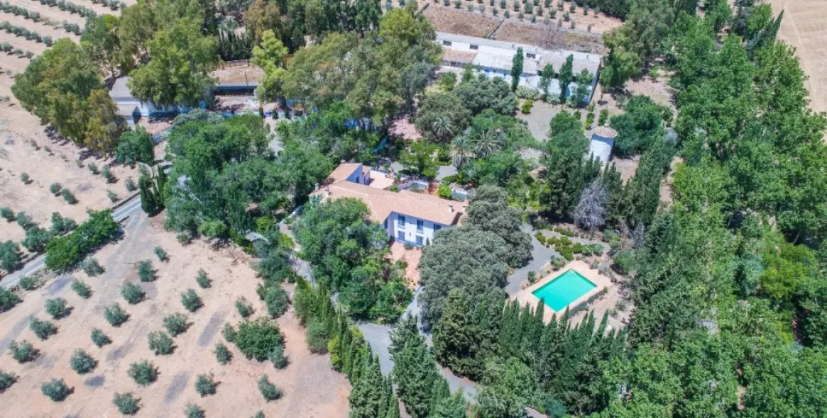 Venta de finca - cortijo en Archidona 2