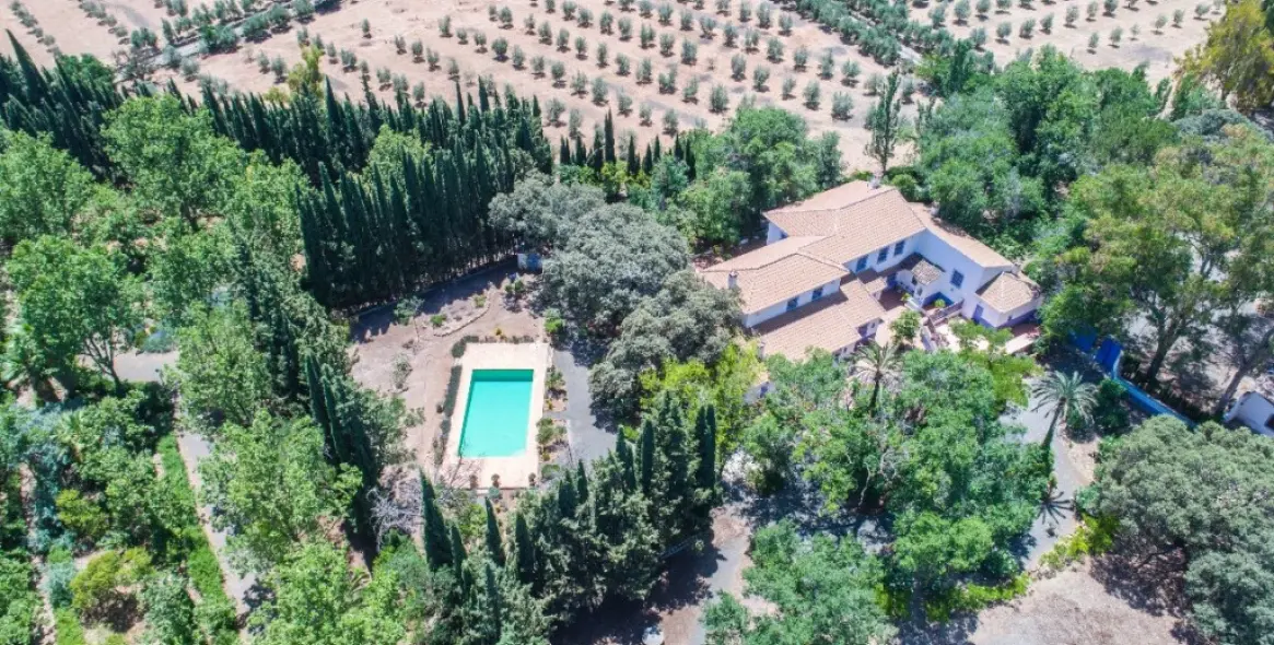 Venta de finca - cortijo en Archidona 3