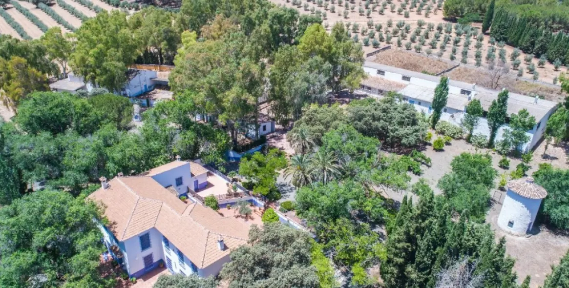 Venta de finca - cortijo en Archidona 4