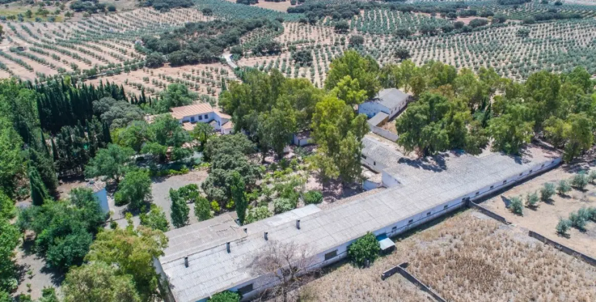 Venta de finca - cortijo en Archidona 5