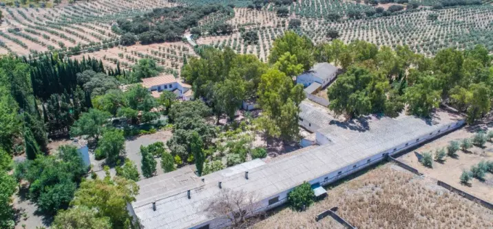 Продажа финки в Archidona 4