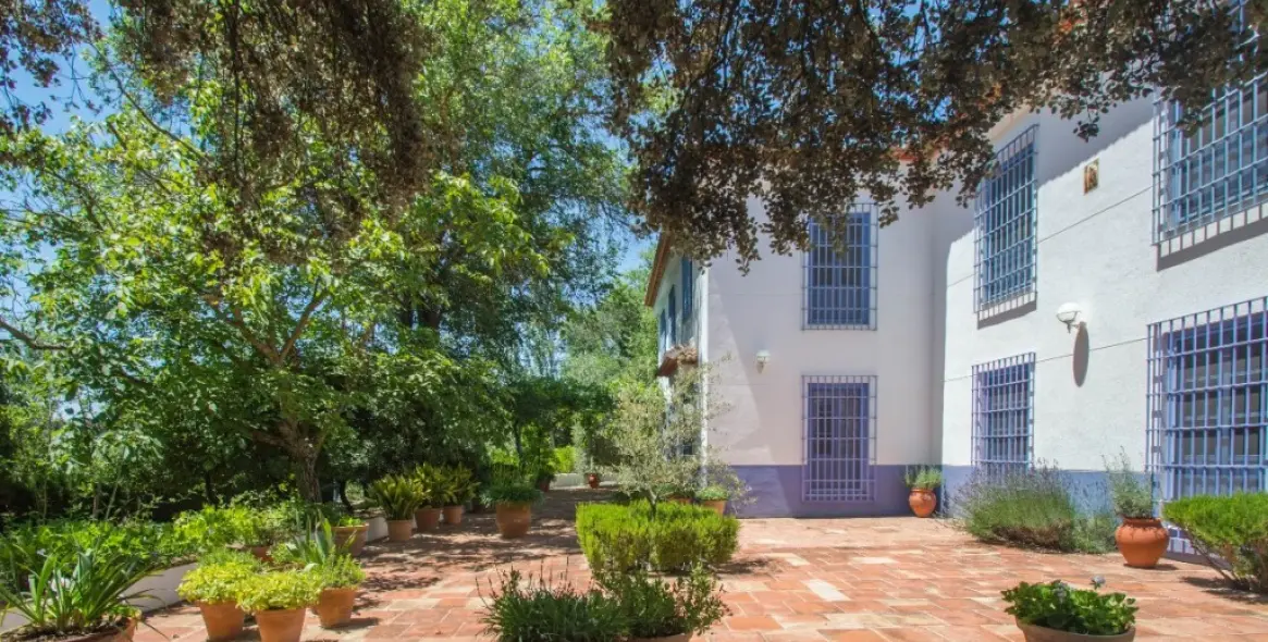 Venta de finca - cortijo en Archidona 7