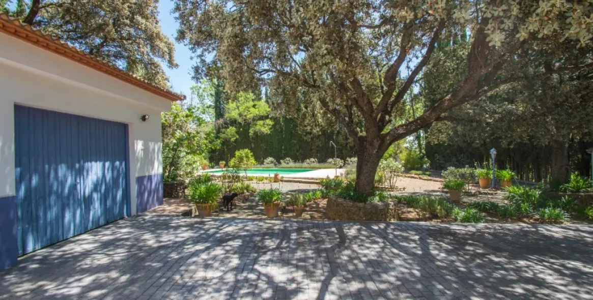 Venta de finca - cortijo en Archidona 8