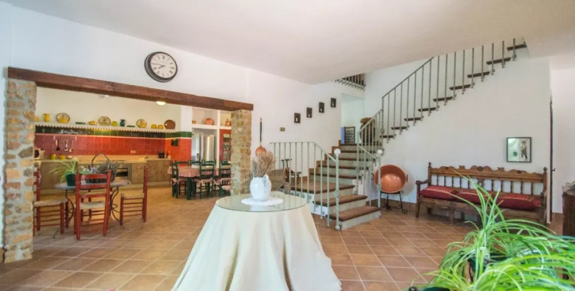 Venta de finca - cortijo en Archidona 10