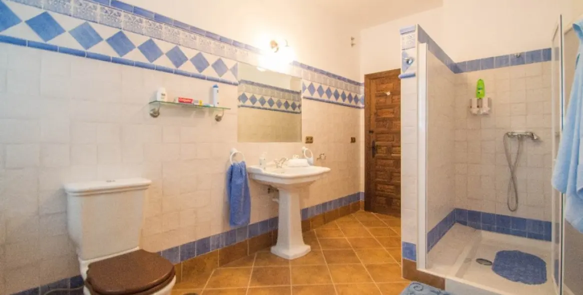 Venta de finca - cortijo en Archidona 28