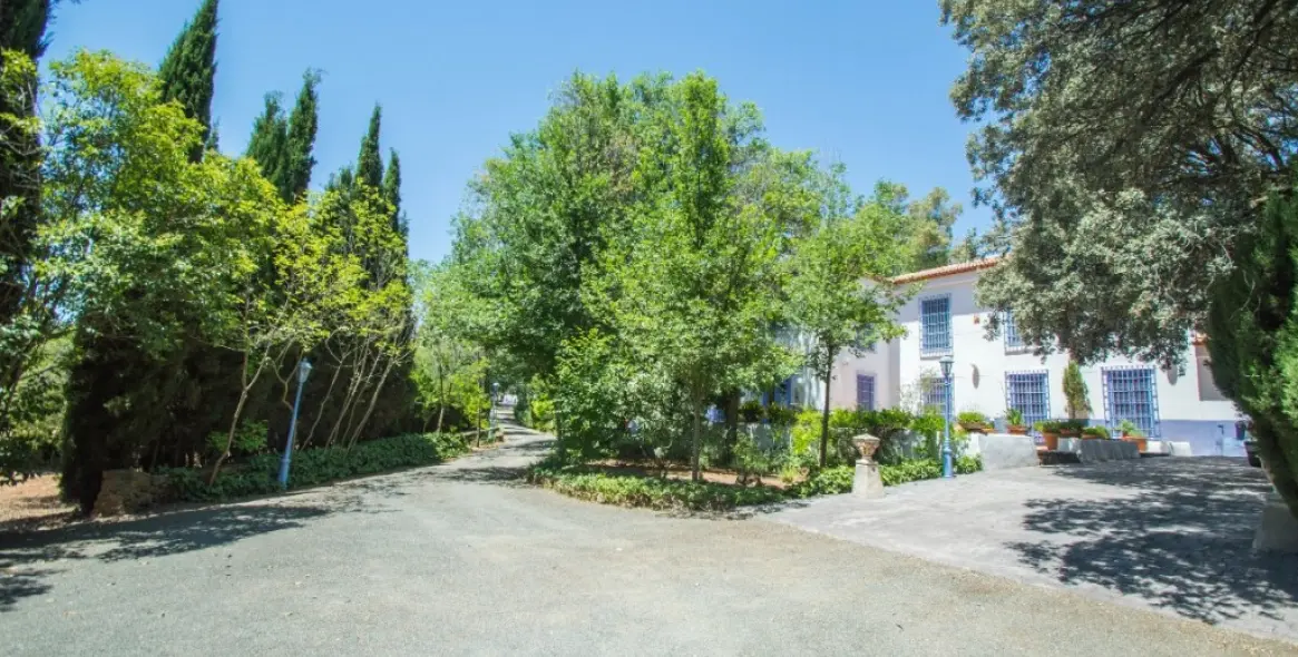 Venta de finca - cortijo en Archidona 40