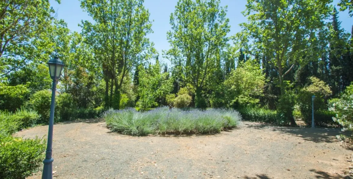 Venta de finca - cortijo en Archidona 42