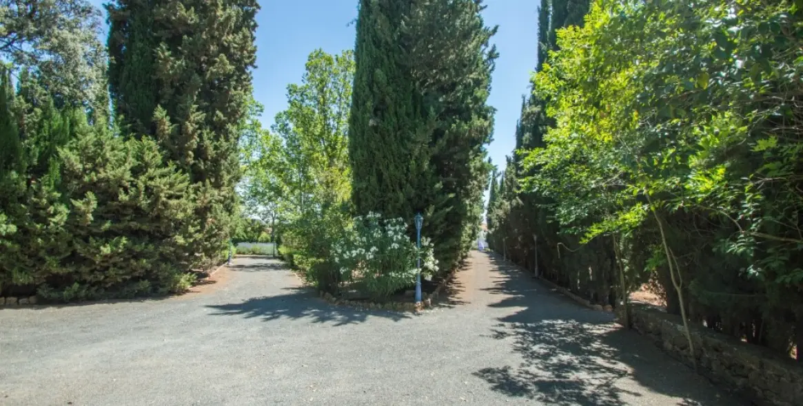 Venta de finca - cortijo en Archidona 43