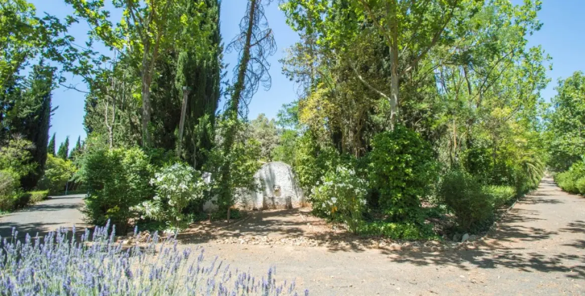 Venta de finca - cortijo en Archidona 44