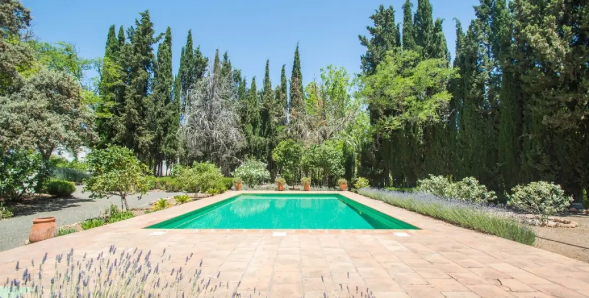Venta de finca - cortijo en Archidona 46