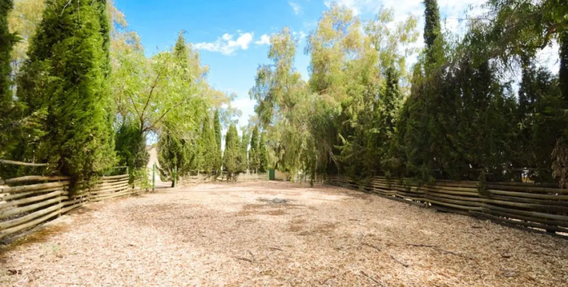 Venta de finca - cortijo en Archidona 48