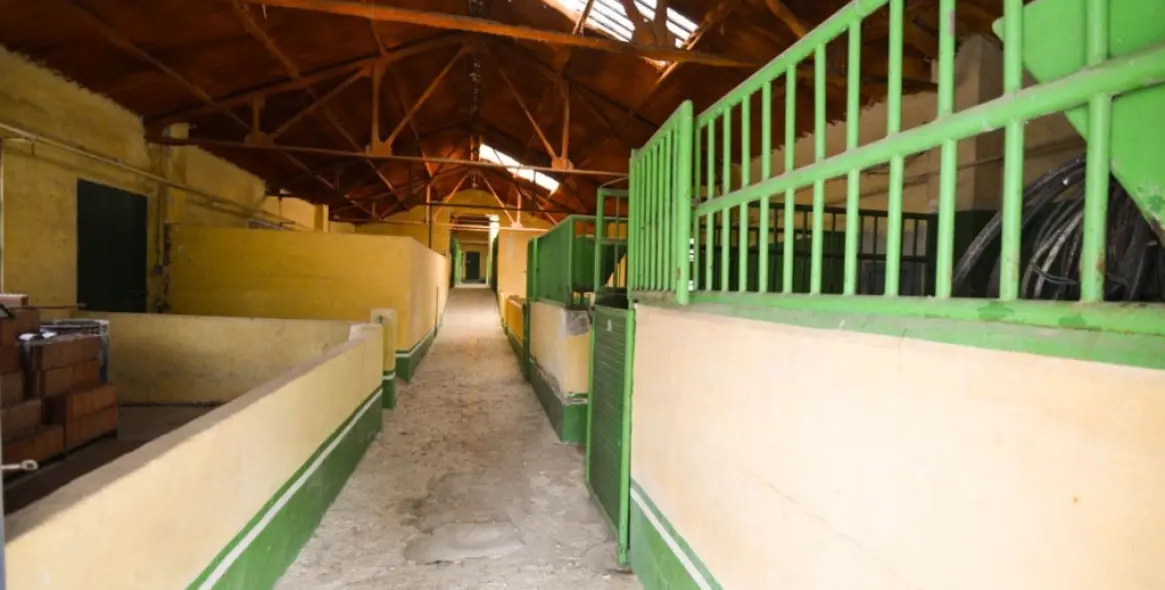 Venta de finca - cortijo en Archidona 49
