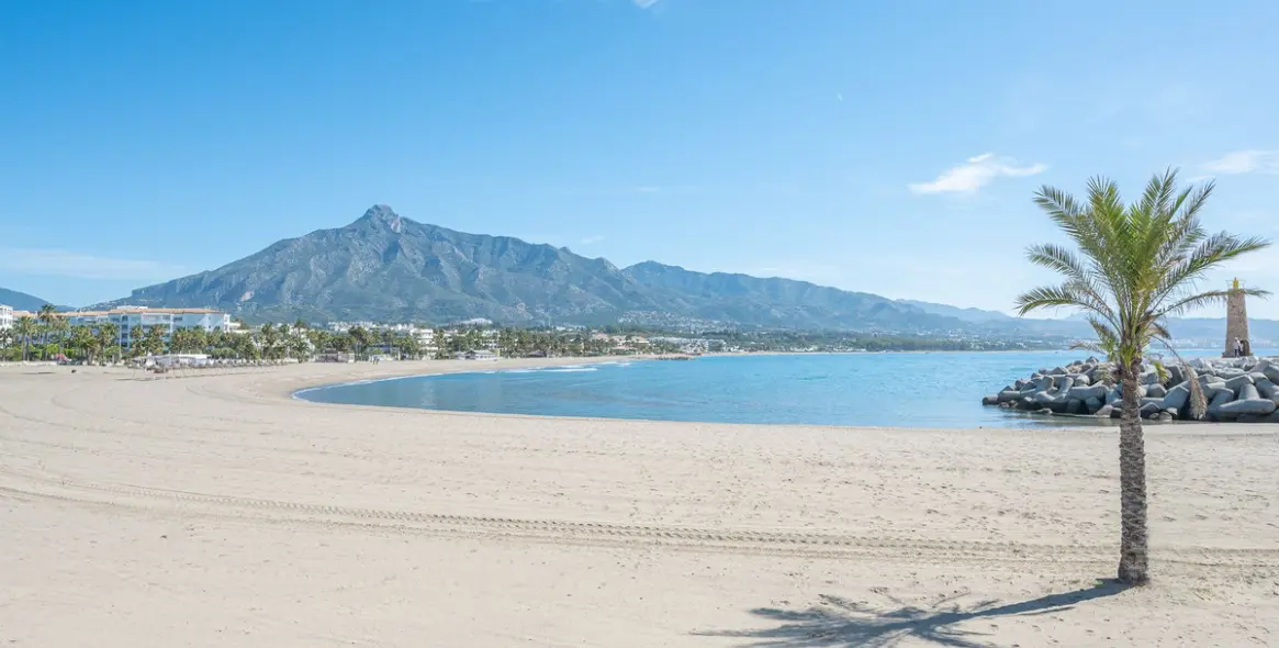 Sale of townhouse in Nueva Andalucía 42