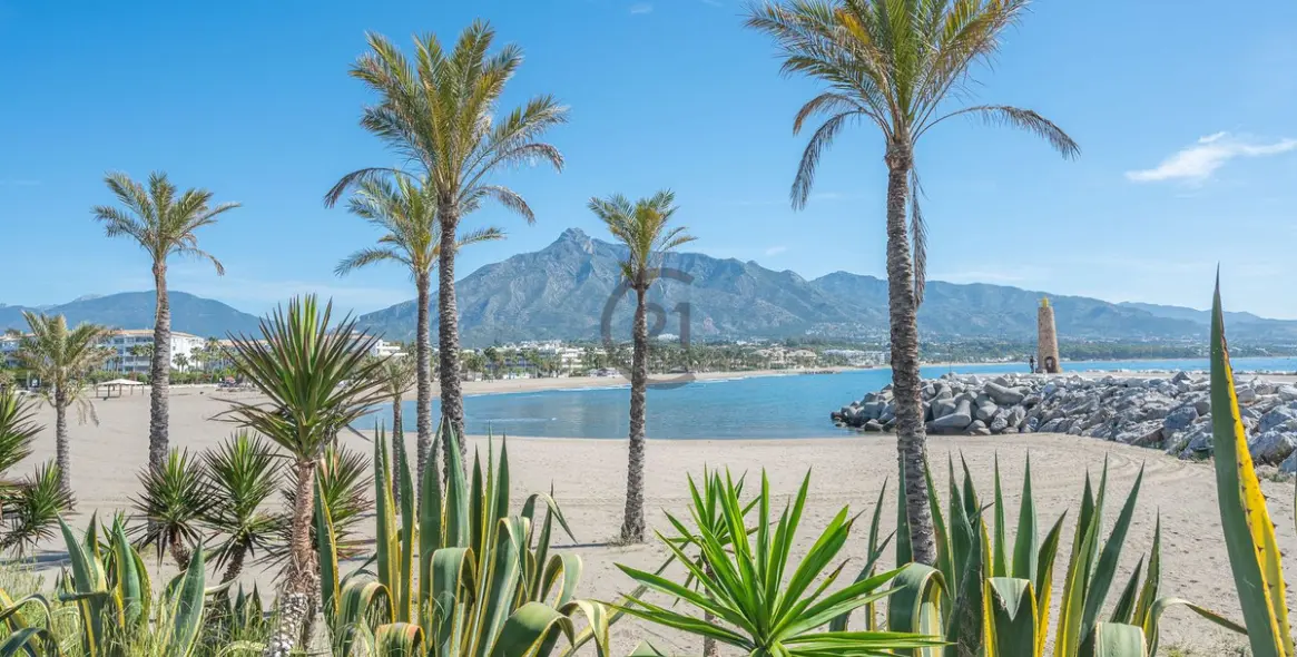 Sale of townhouse in Nueva Andalucía 43