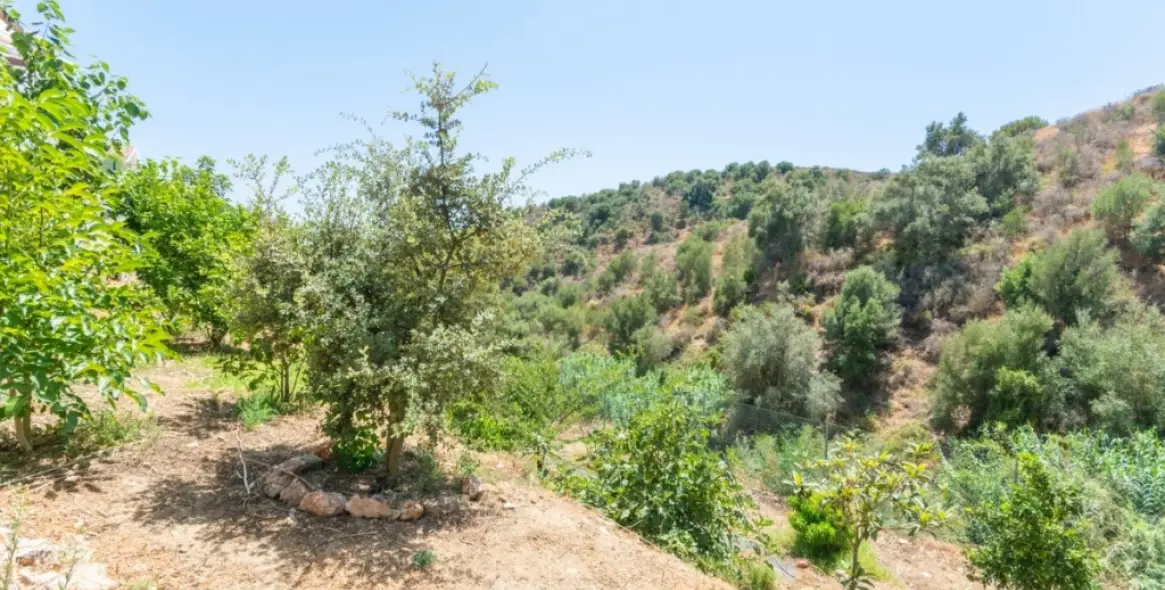 Sale of detached villa in Mijas Costa 47