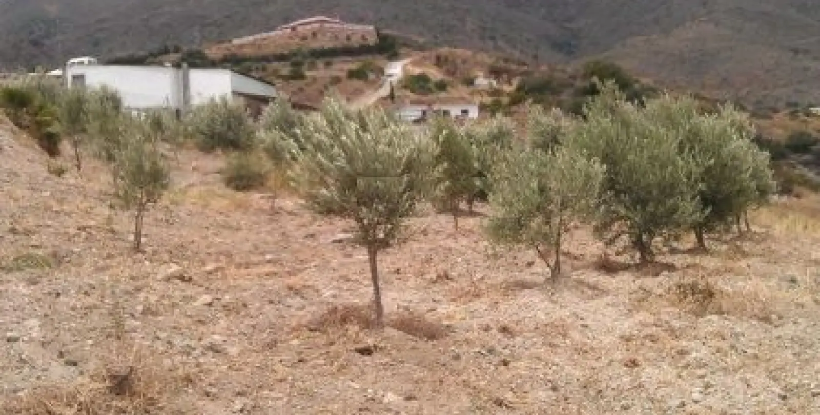 Продажа  жилого участка в Estepona 1
