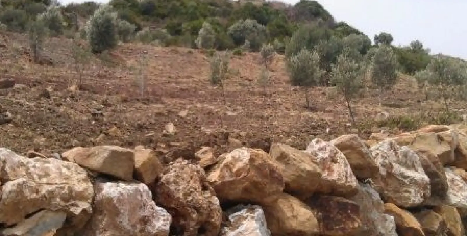 Продажа  жилого участка в Estepona 2
