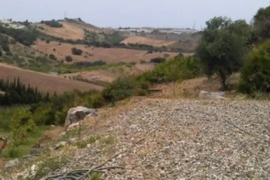 Image 5 thumb