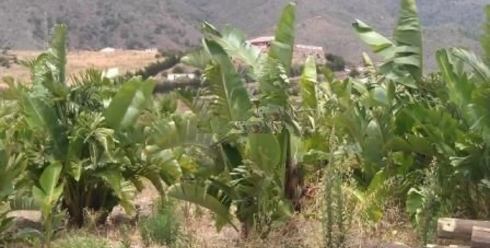 Продажа  жилого участка в Estepona 6