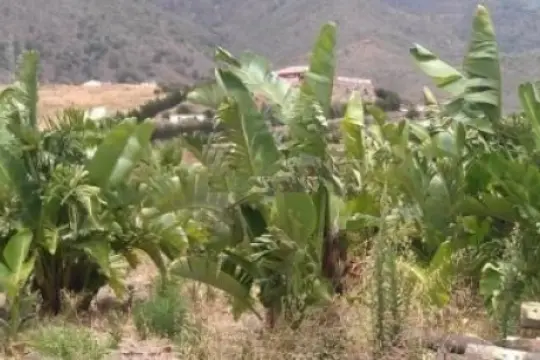 Image 6 thumb