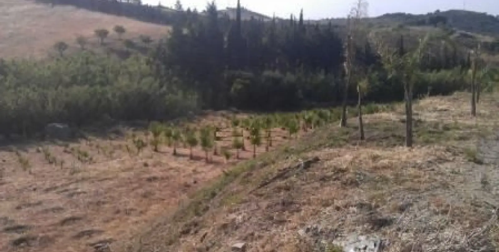 Продажа  жилого участка в Estepona 7