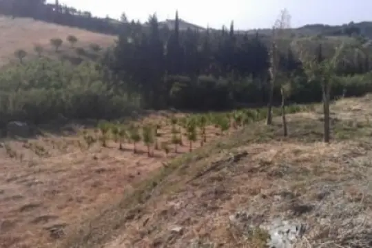 Image 7 thumb