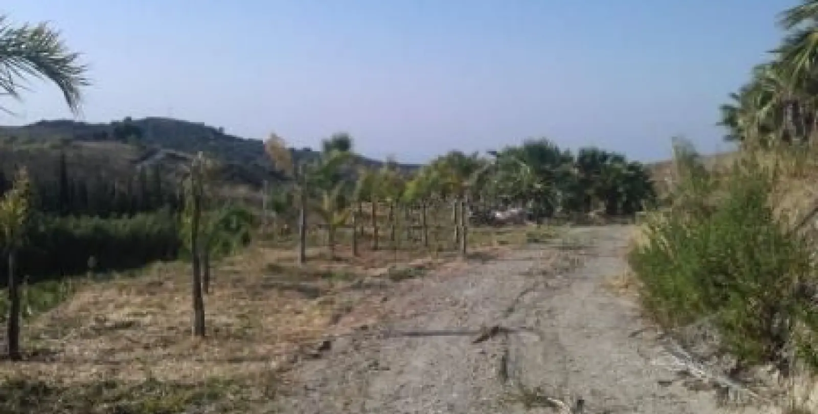 Продажа  жилого участка в Estepona 8