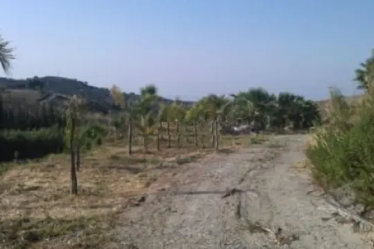 Image 8 thumb