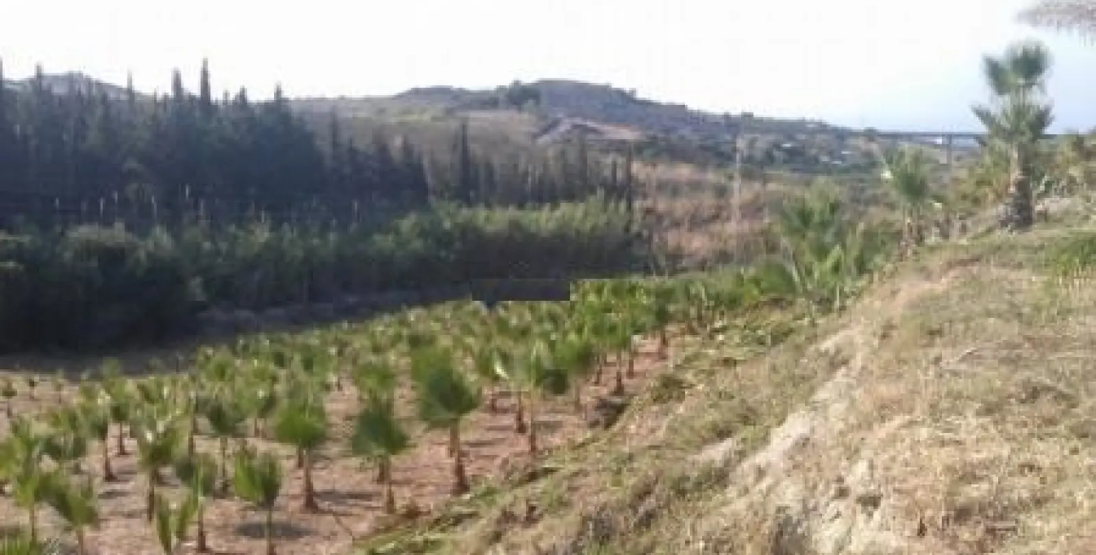 Продажа  жилого участка в Estepona 9