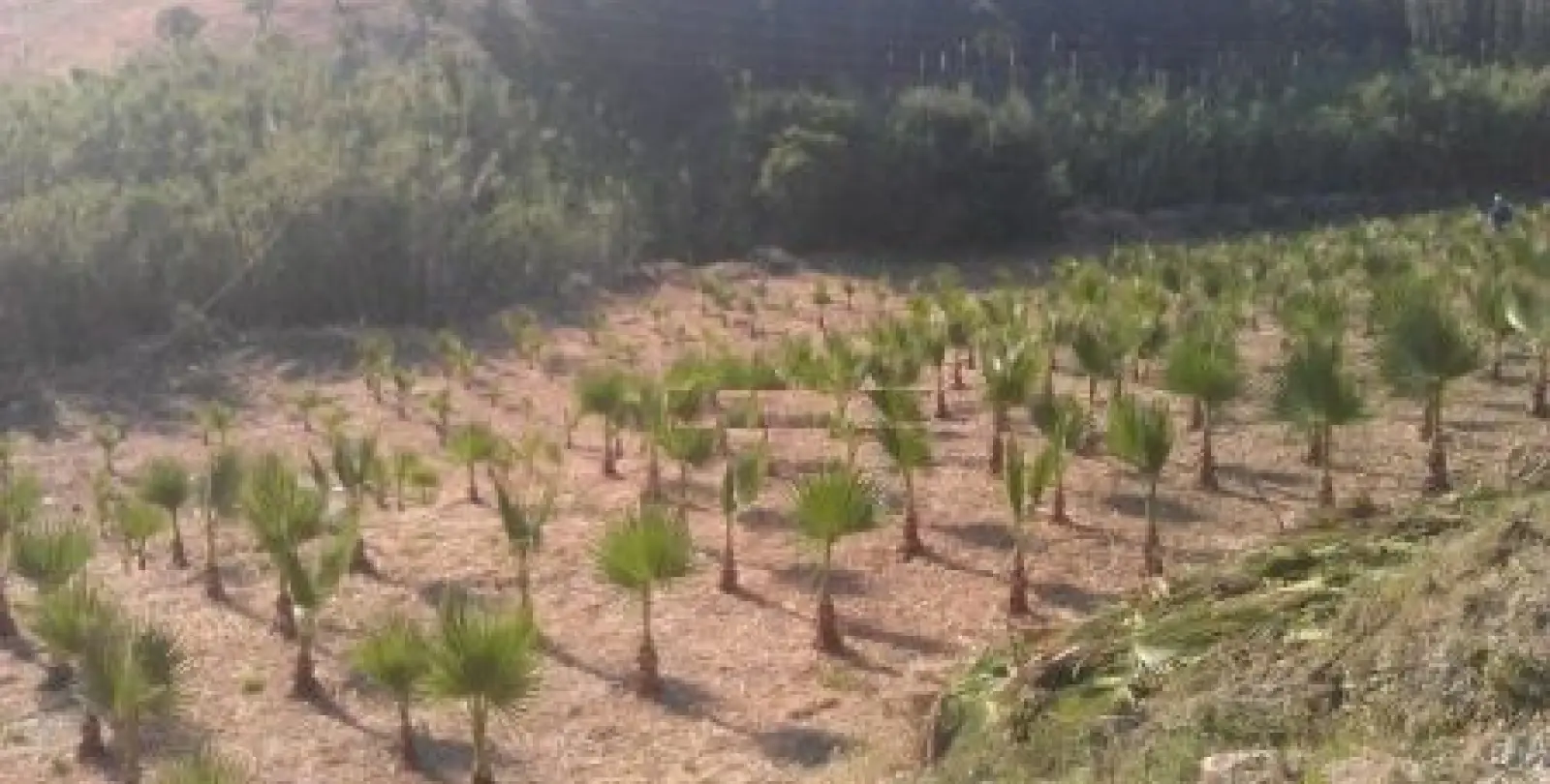 Продажа  жилого участка в Estepona 10