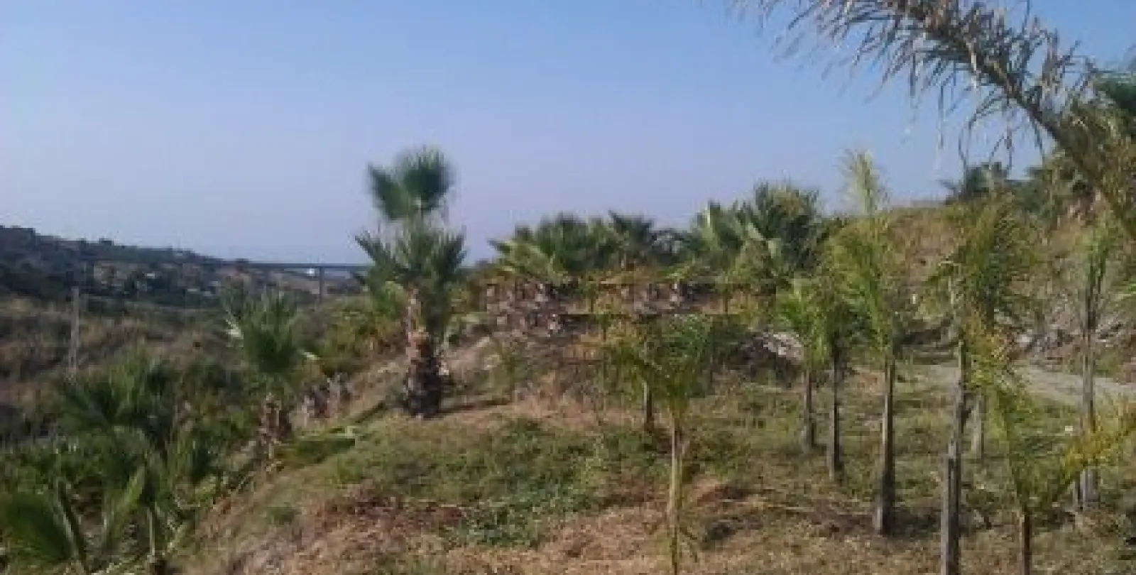 Продажа  жилого участка в Estepona 11