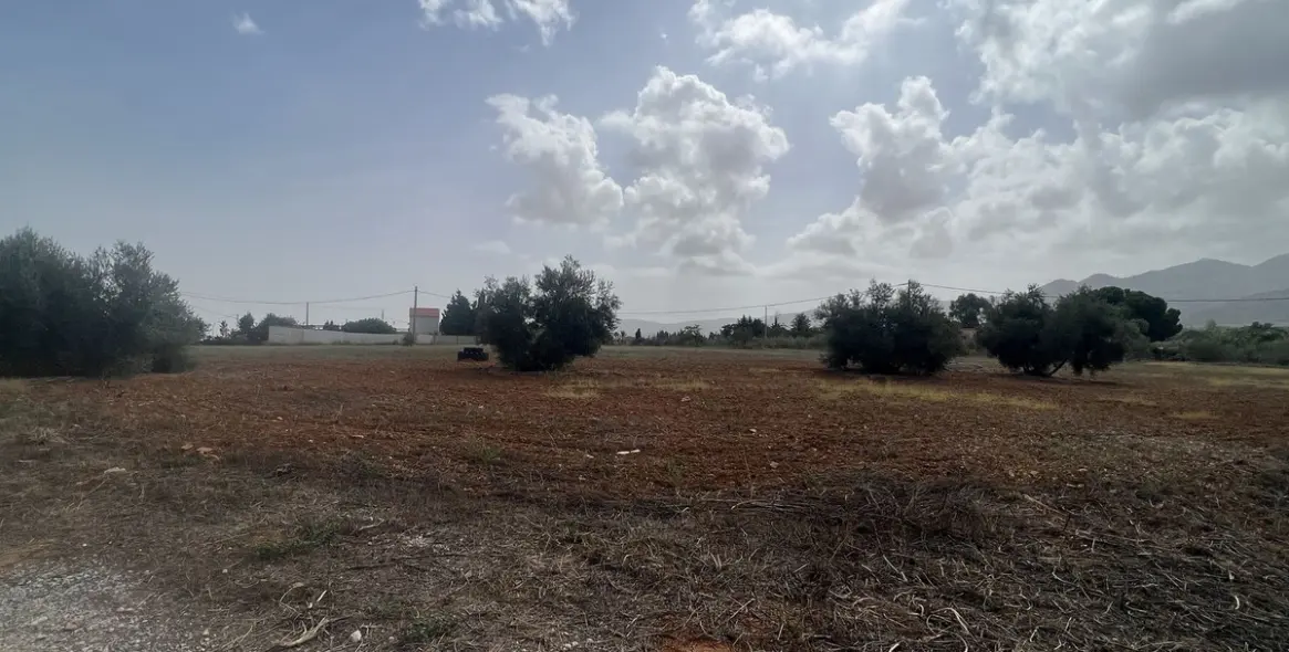 Продажа финки в Alhaurín de la Torre 33
