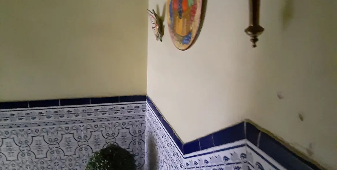 Sale of detached villa in Mijas 34