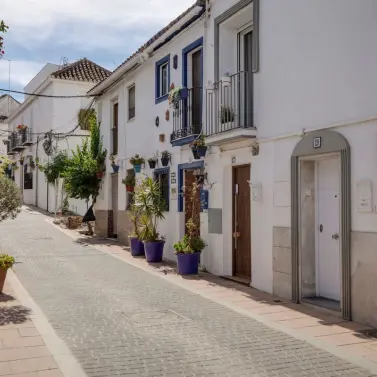 Продажа  отдельно стоящей виллы в Estepona