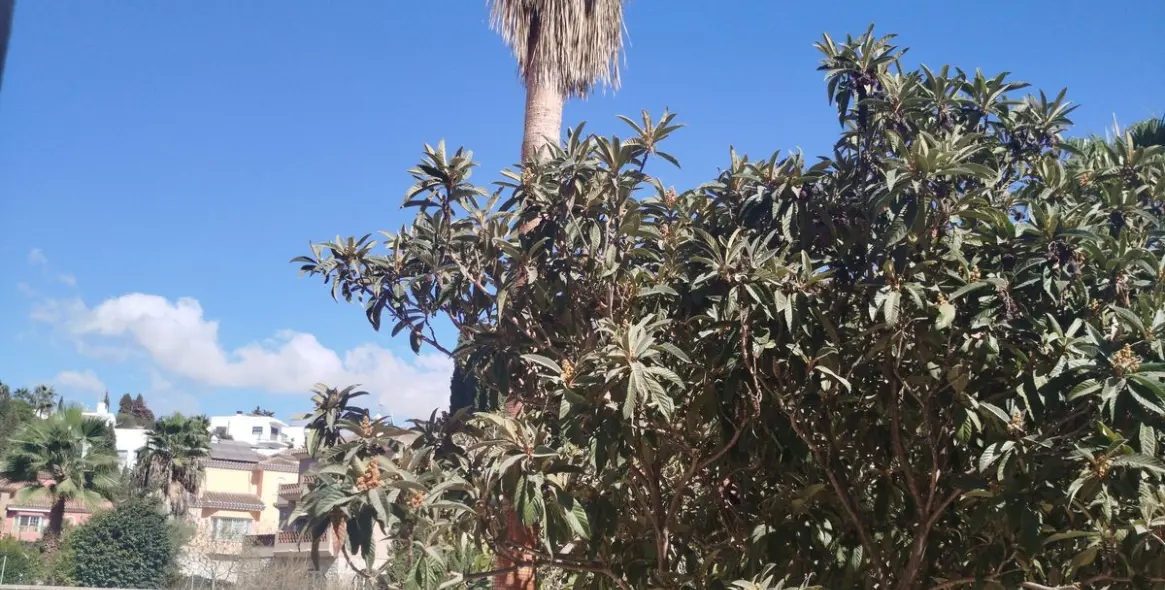 Sale of detached villa in Mijas Costa 77